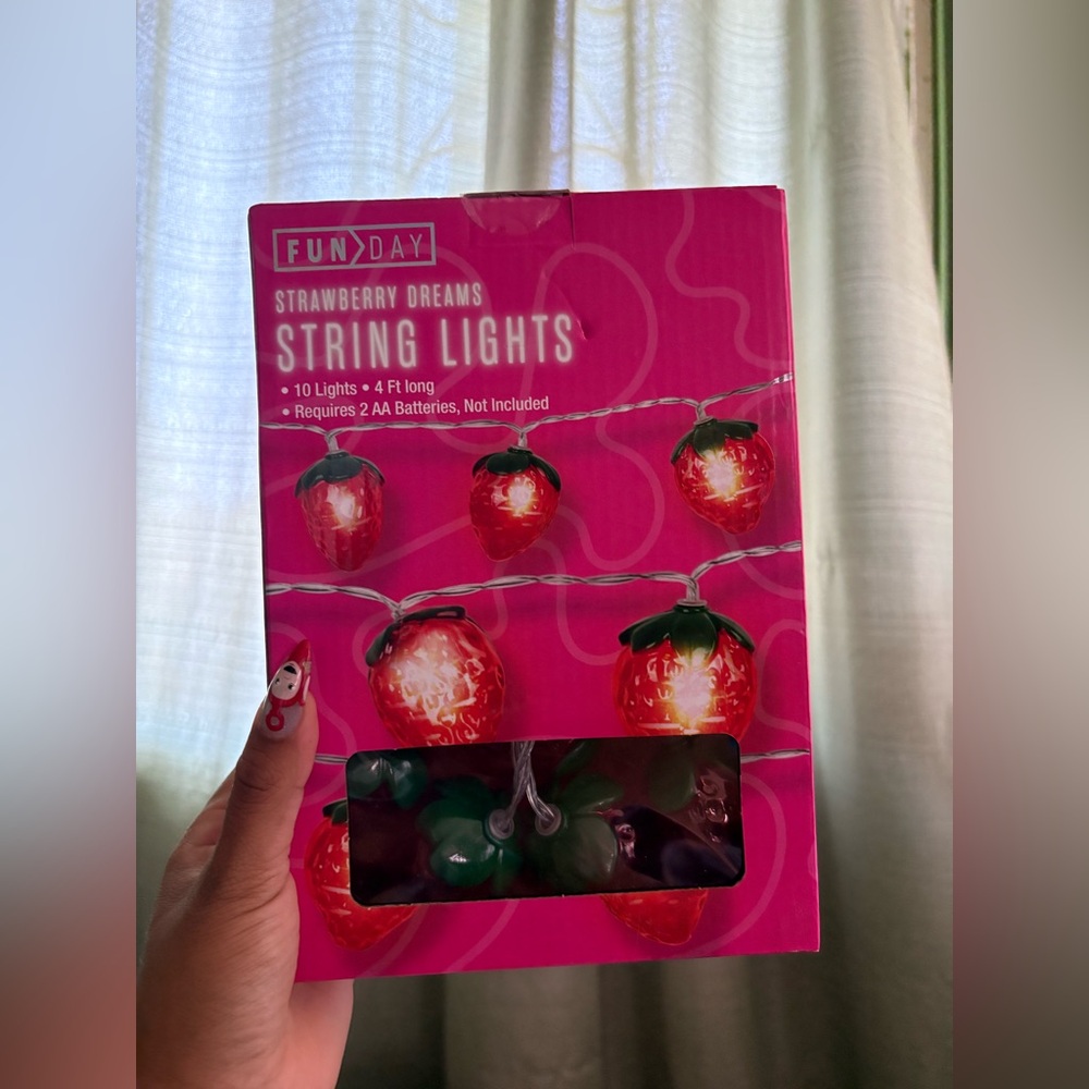Fun day 10 led Strawberry String Lights